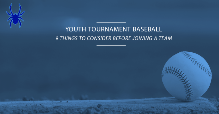 Youth Tournament Baseball