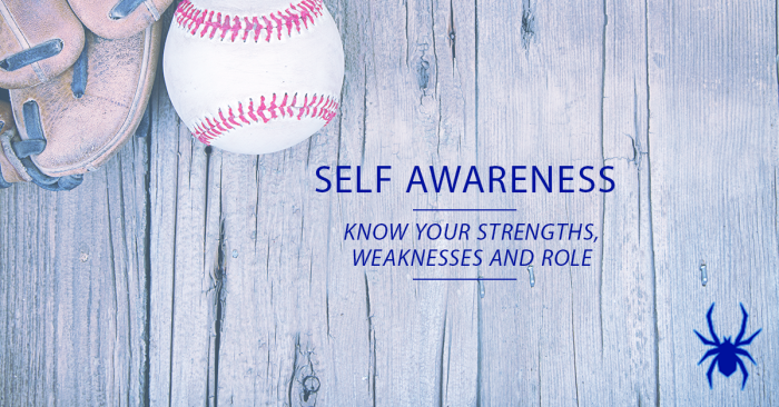 Self Awareness Baseball