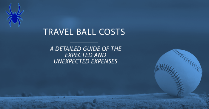 How Much Does Travel Baseball Cost? - Spiders Elite