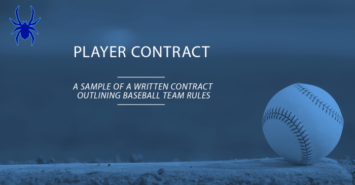 Youth Baseball Player Contract