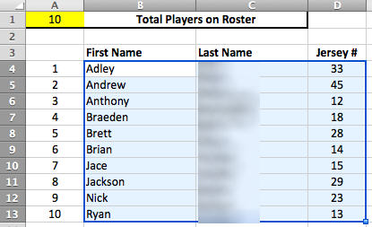 Youth Baseball Lineup Template