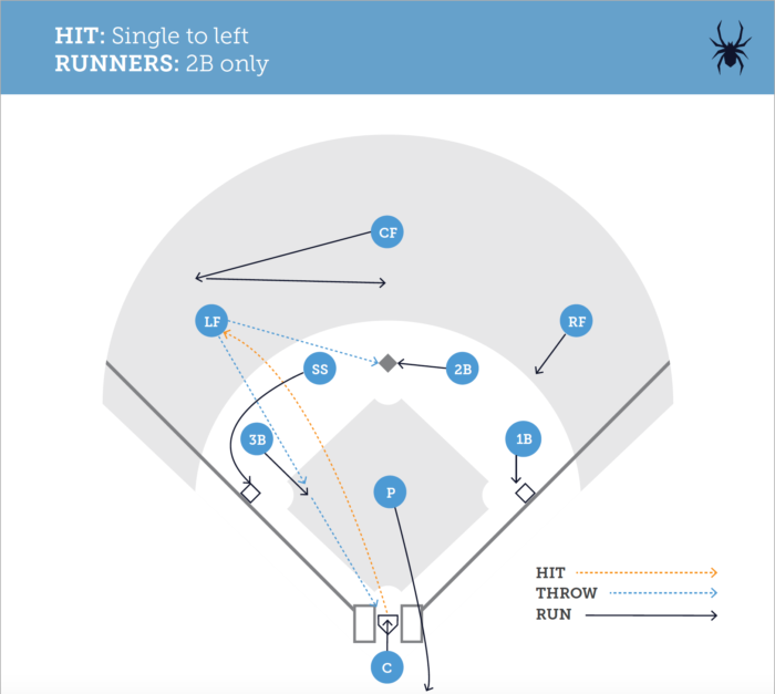 Baseball Backups